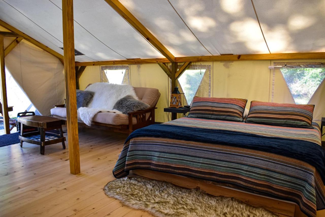 Umpqua'S Last Resort - Wilderness Cabins, Rv Park & Glamping Idleyld Park Εξωτερικό φωτογραφία