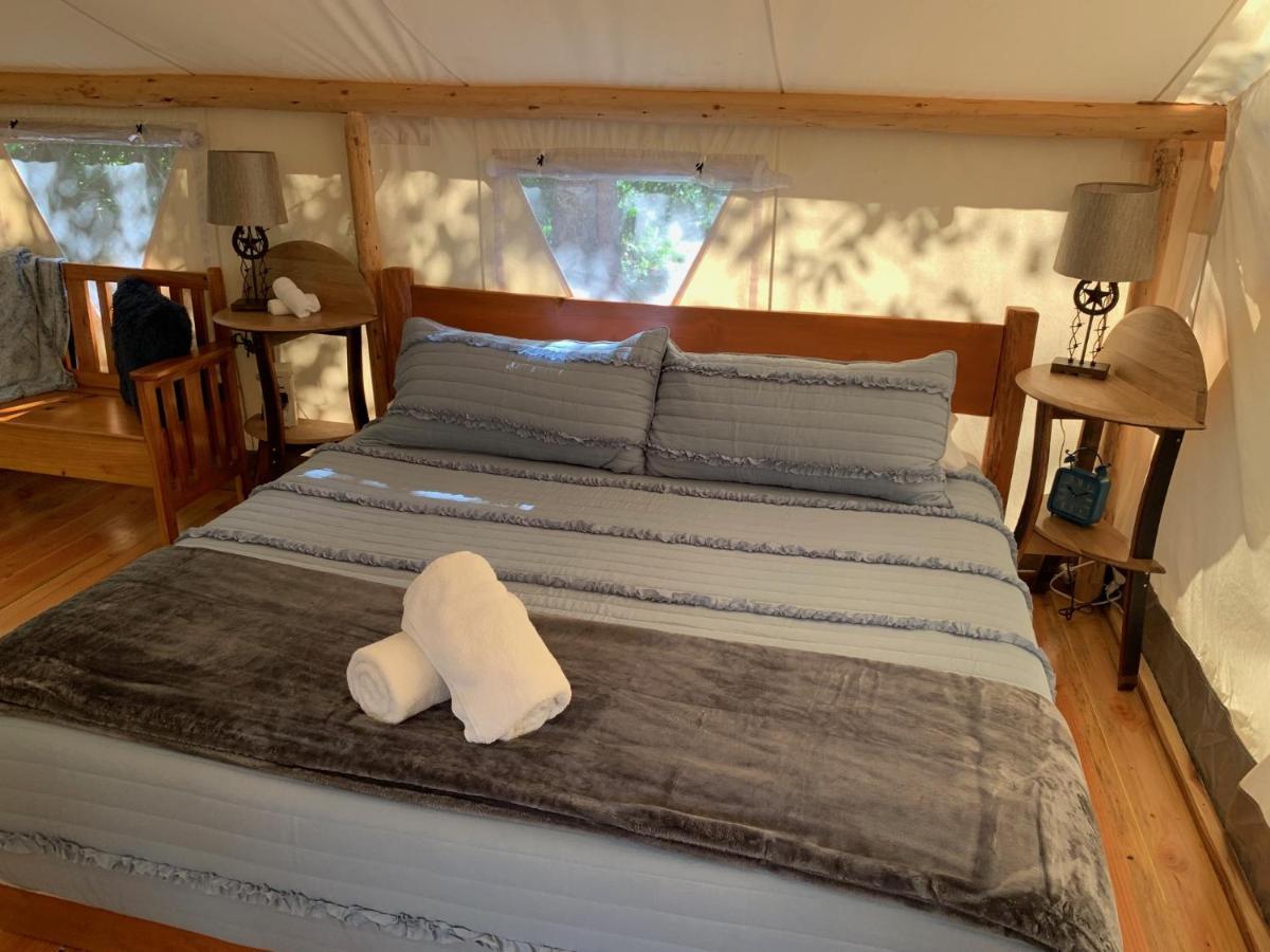Umpqua'S Last Resort - Wilderness Cabins, Rv Park & Glamping Idleyld Park Εξωτερικό φωτογραφία
